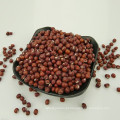 Red small bean adzuki bean new crop natural color